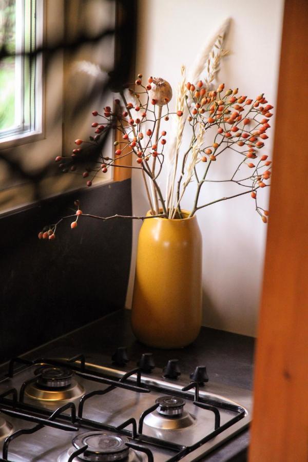 Wijngaard Saalhof Bed & Breakfast Wognum Dış mekan fotoğraf